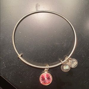 Alex and Ani charm bracelet
